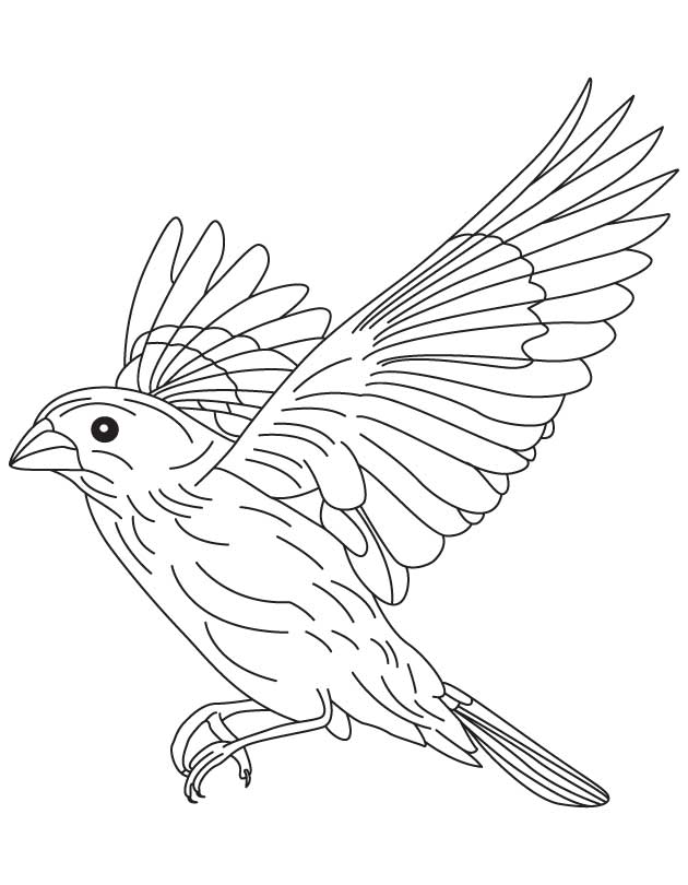 38 Flight Coloring Pages Adventure Printable 15