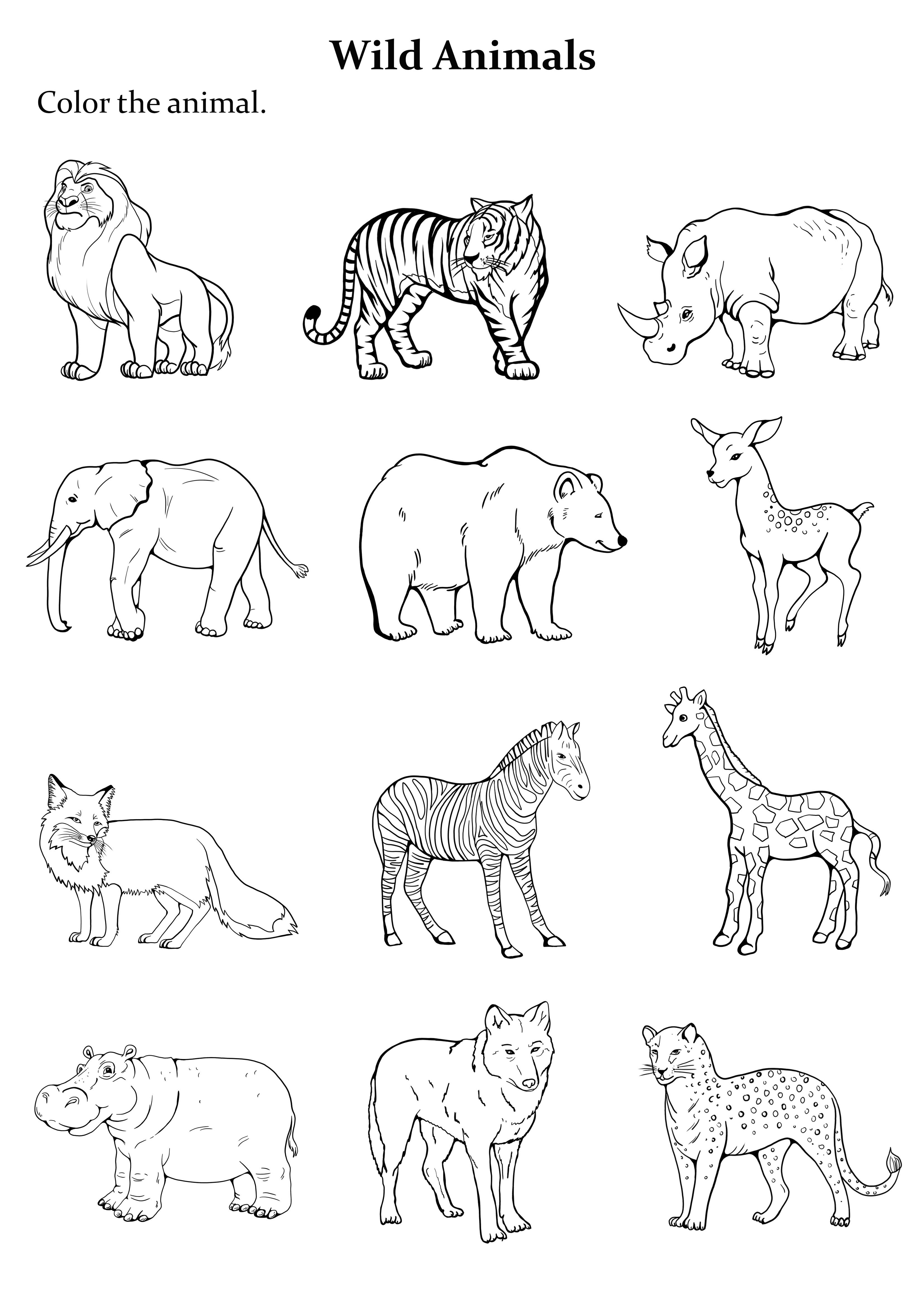 33+ Whimsical Animal Coloring Pages Aesthetic