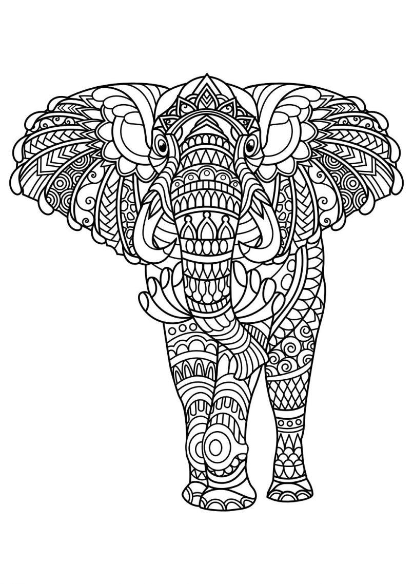 41+ Top Animal Coloring Pages with Simple Outline