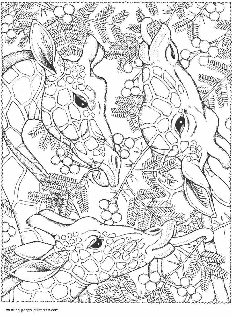 45+ Educational Animal Coloring Pages Unique