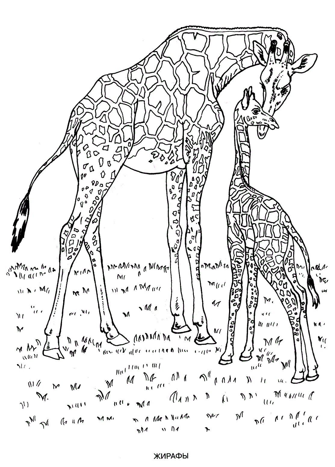 38+ Funtastic Animal Coloring Pages with Simple Outline