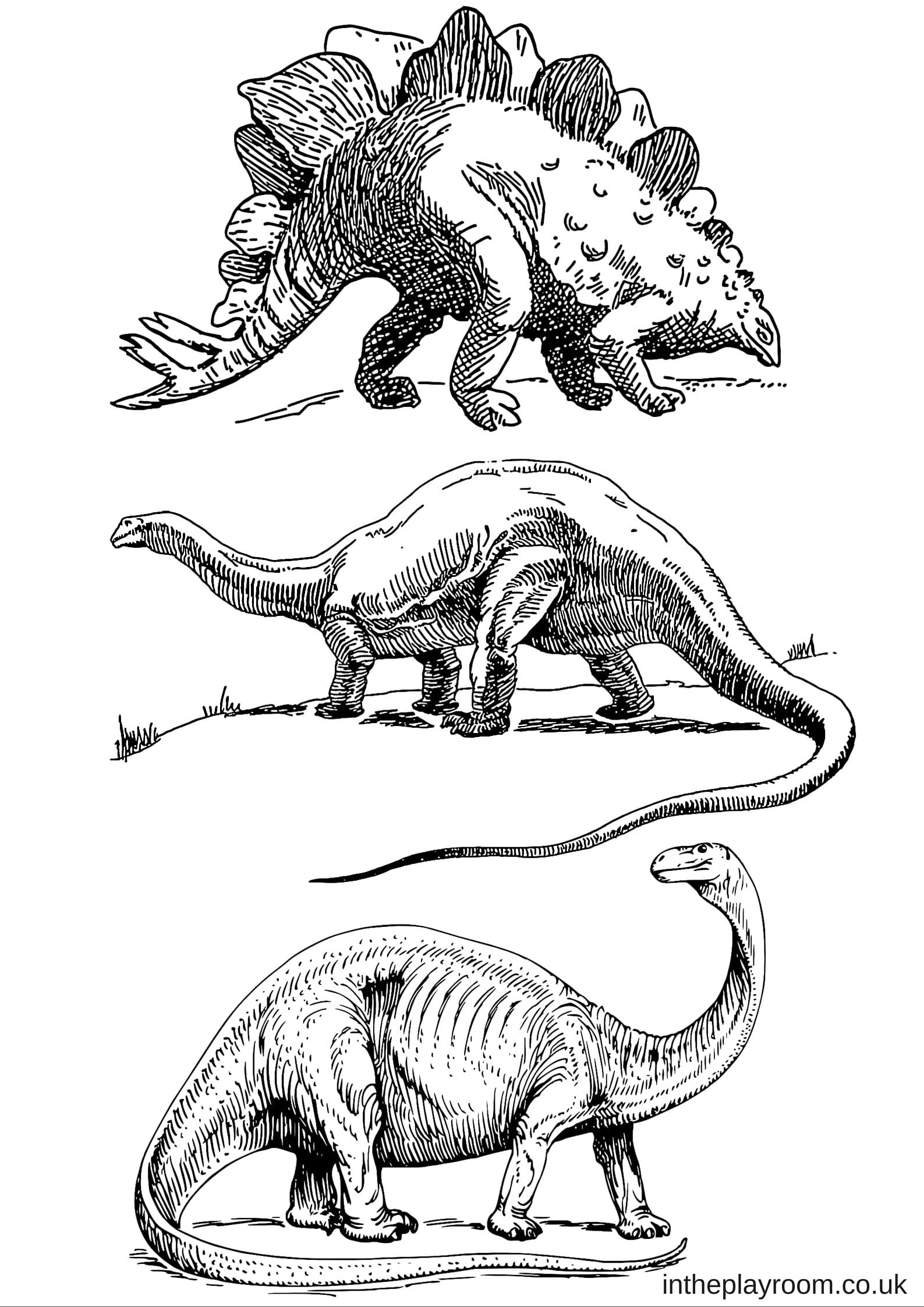 36+ Free Dinosaur Coloring Pages Printable Sheets