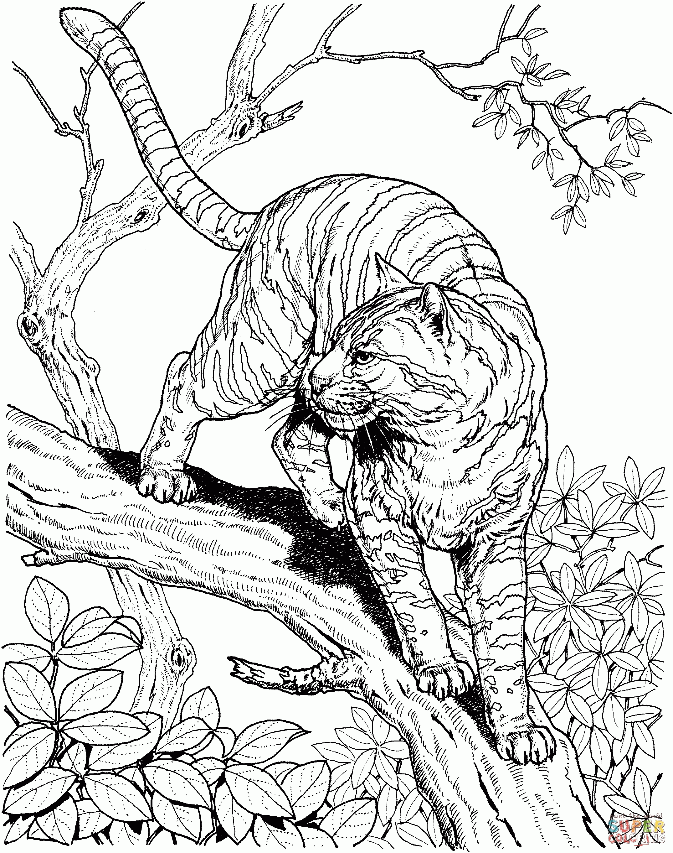 37+ Downloadable Animal Coloring Pages Inspirational