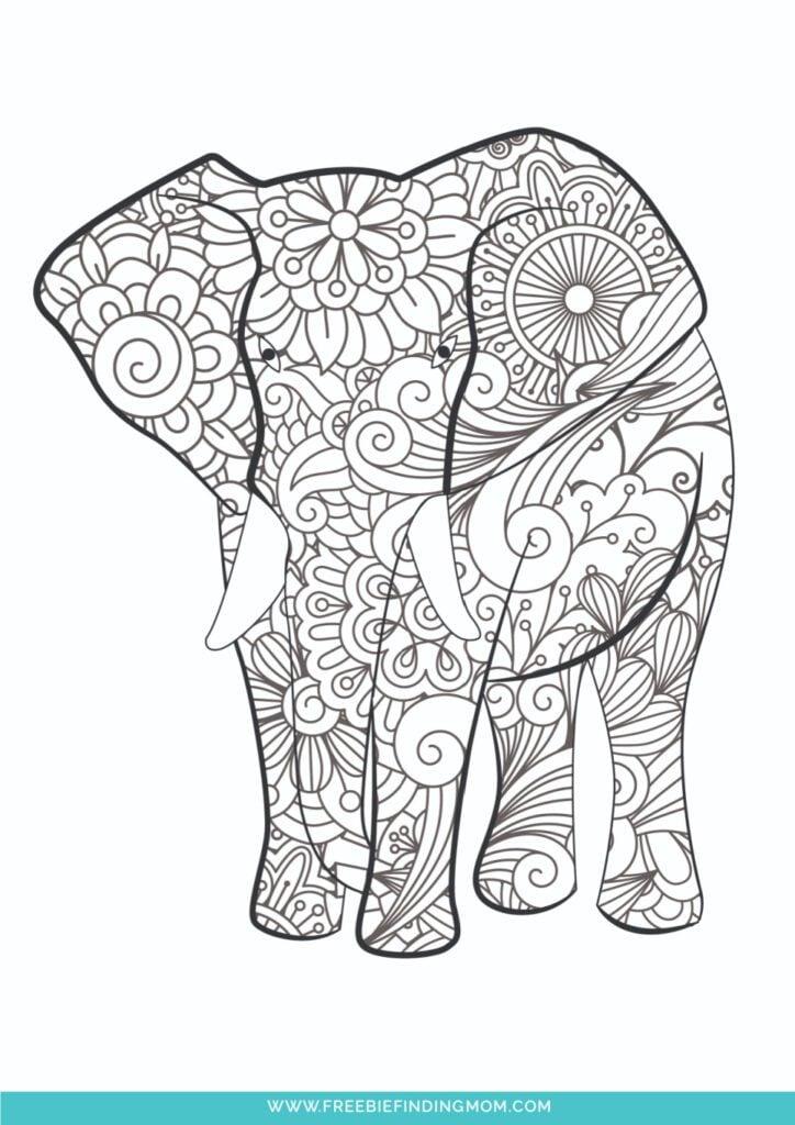 38+ Colorful Animal Coloring Pages Printable Sheets