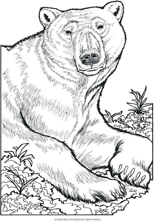 34+ Realistic Animal Coloring Pages to Print