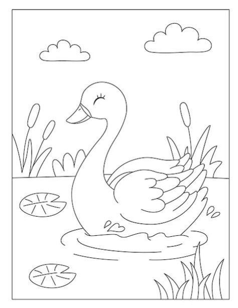 36 Easy Animal Coloring for Kids and Toddlers 32