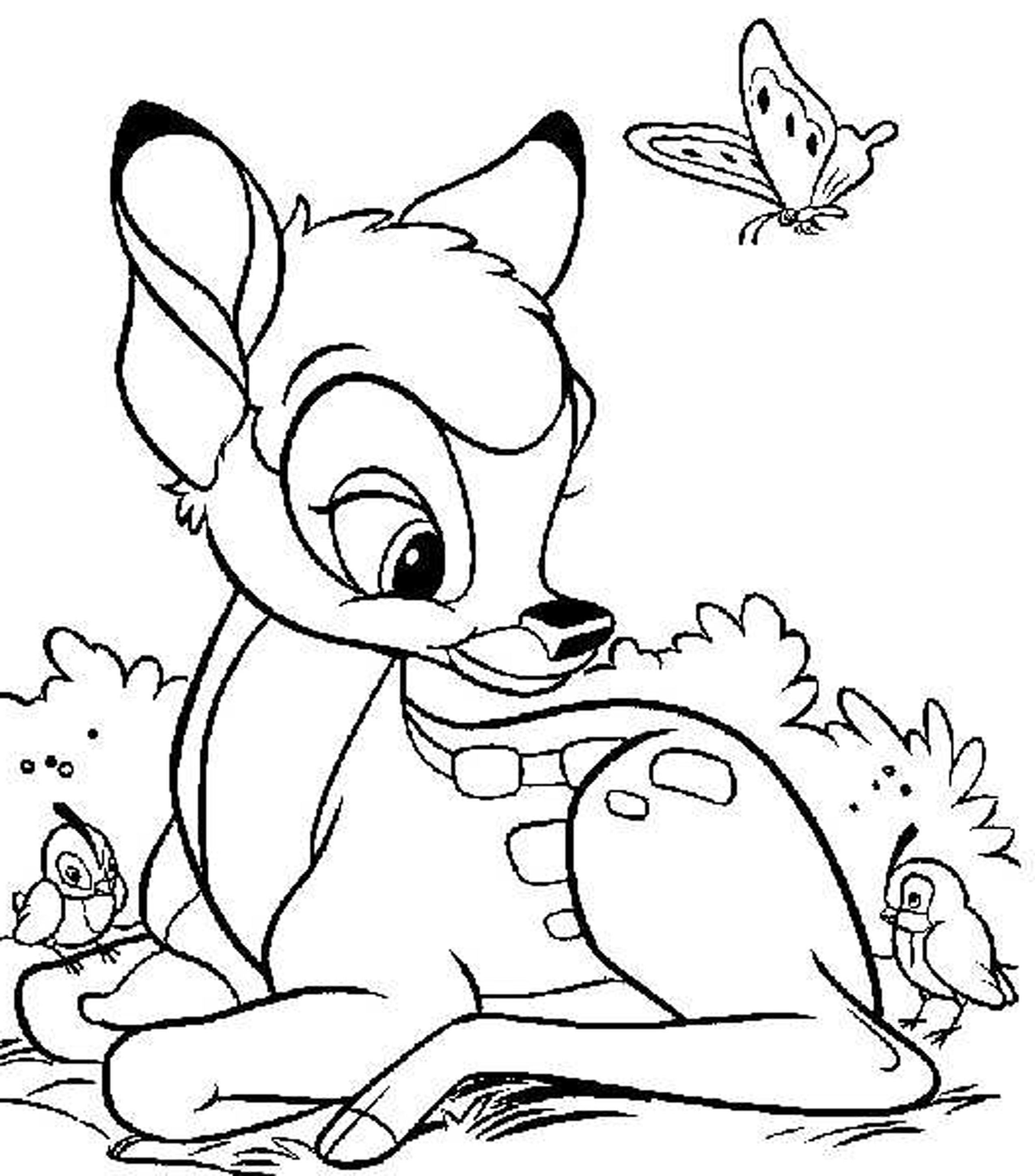 41 Easy Butterfly Coloring Pages for Kids Free Printable 1