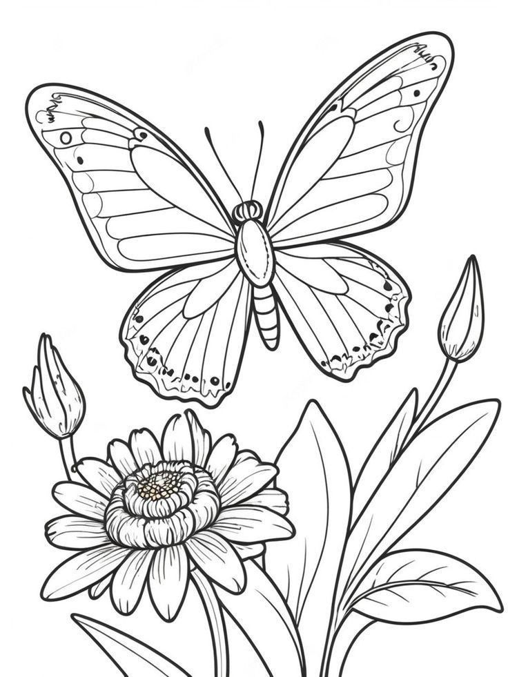 41 Easy Butterfly Coloring Pages for Kids Free Printable 23