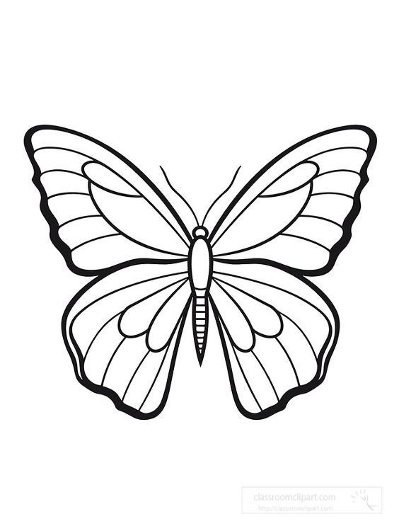 41 Easy Butterfly Coloring Pages for Kids Free Printable 32