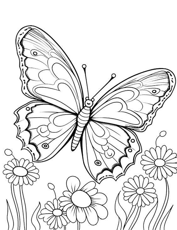 41 Easy Butterfly Coloring Pages for Kids Free Printable 34