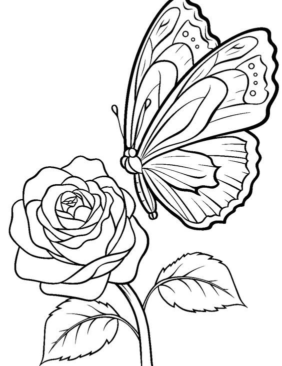 41 Easy Butterfly Coloring Pages for Kids Free Printable 35