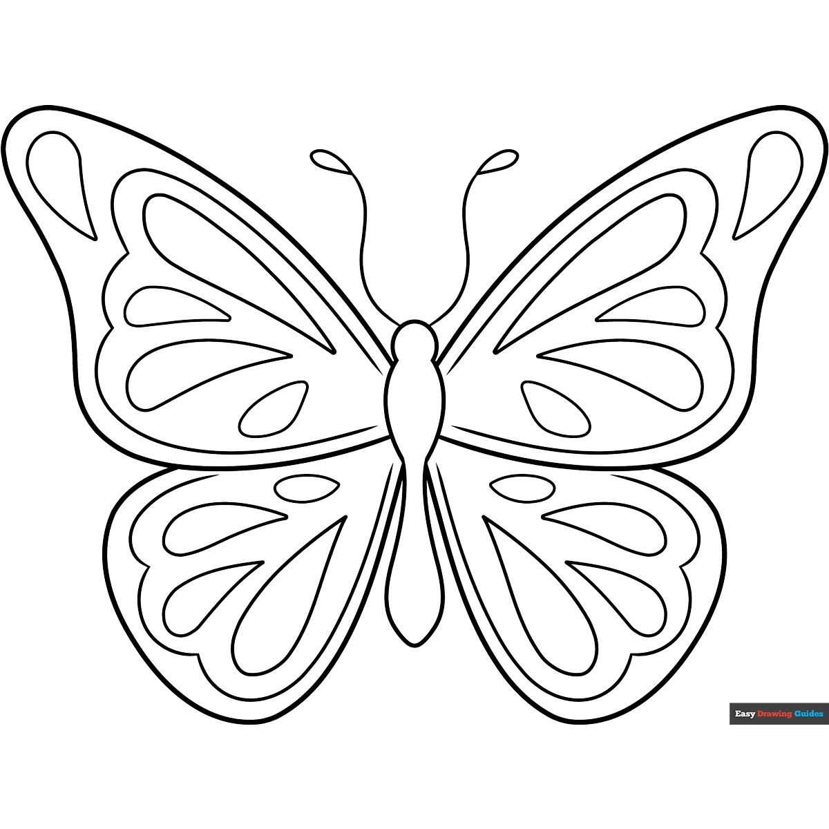 41 Easy Butterfly Coloring Pages for Kids Free Printable 9